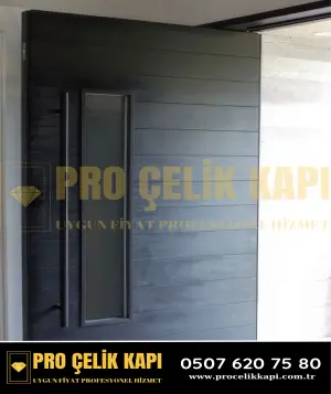 Sancaktepe Pivot Kapı - Model 38